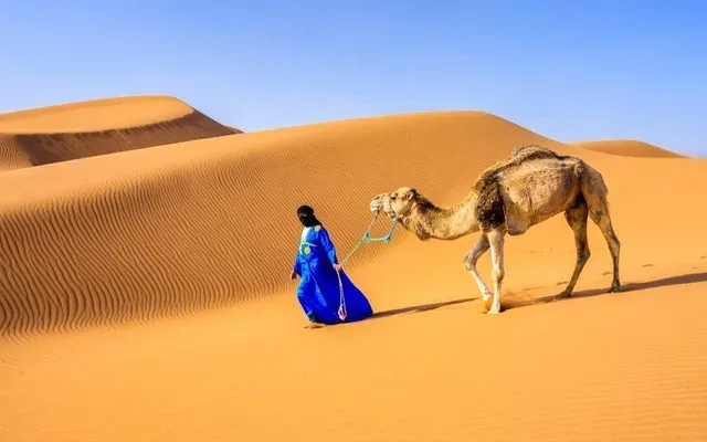 Best time to visit Morocco – Sahara dunes in spring