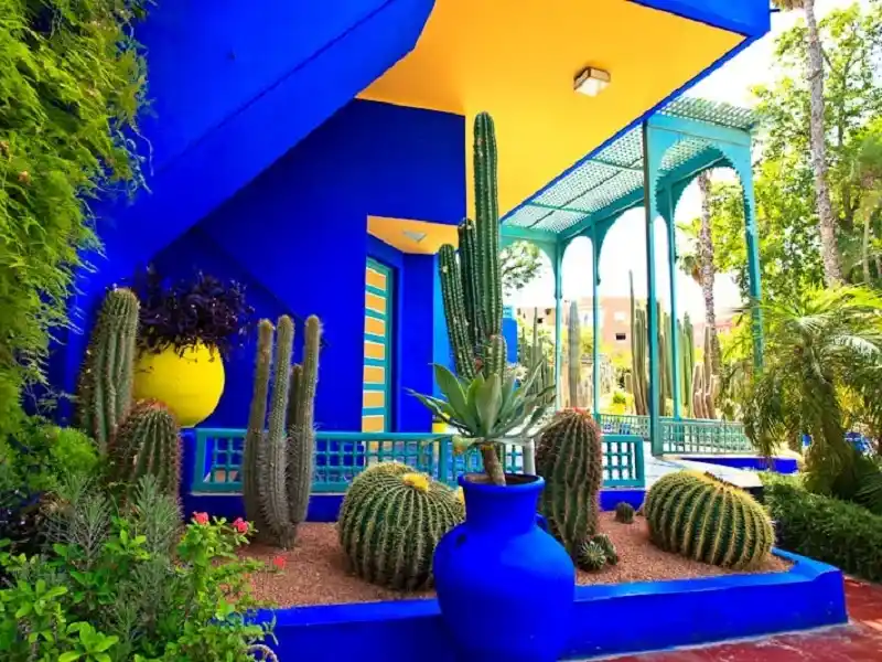 Jardin Majorelle blue buildings with exotic plants and Moroccan pathways