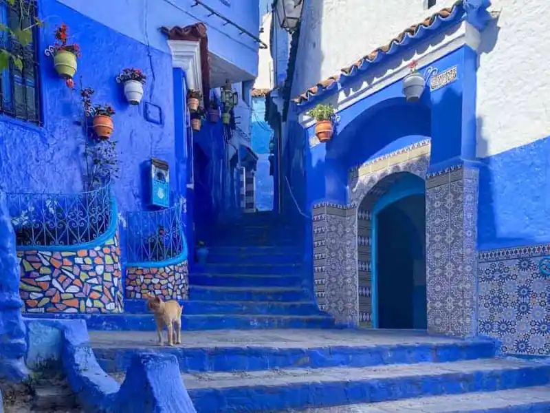 Chefchaouen Blue Streets