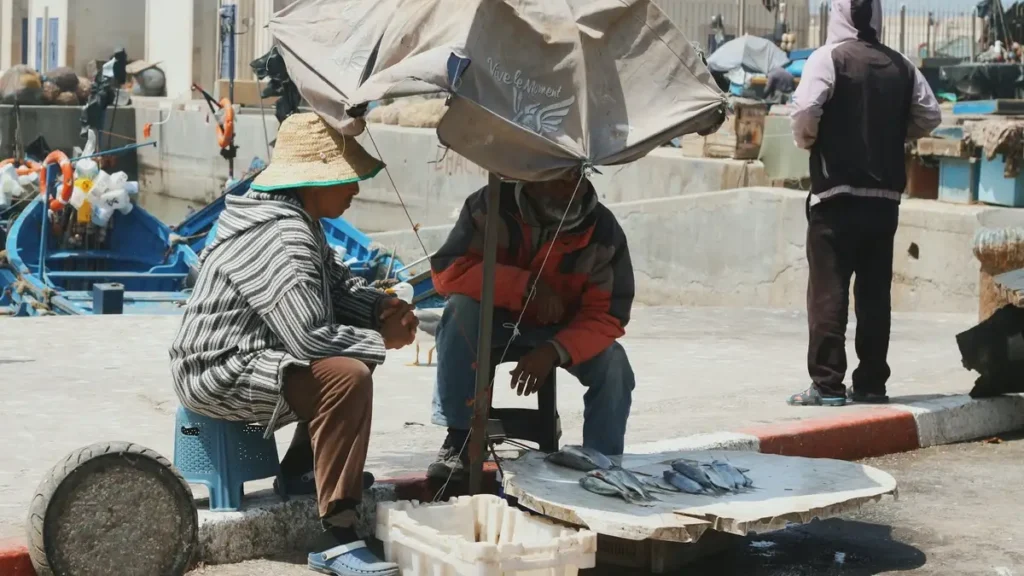 Fresh fish being sold at the port of Essaouira Morocco