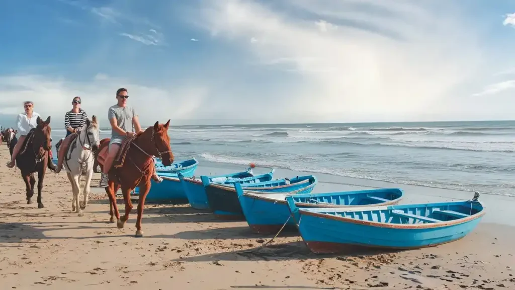 horses on the sand at sunset Essaouira