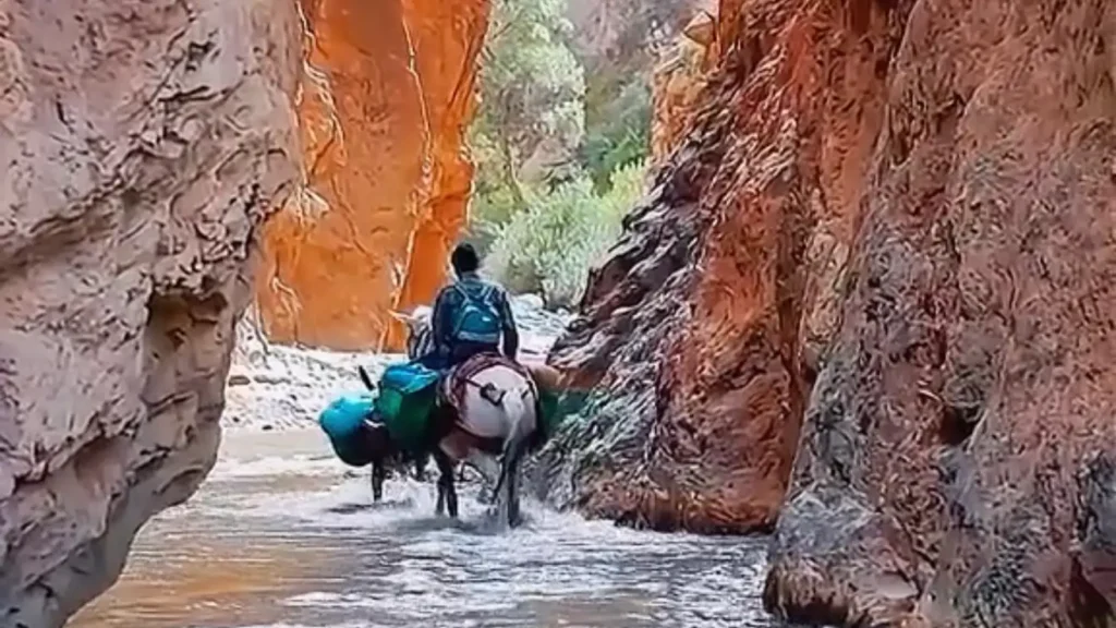 Todra Gorge canyon stop during 2 day desert tour from Marrakech