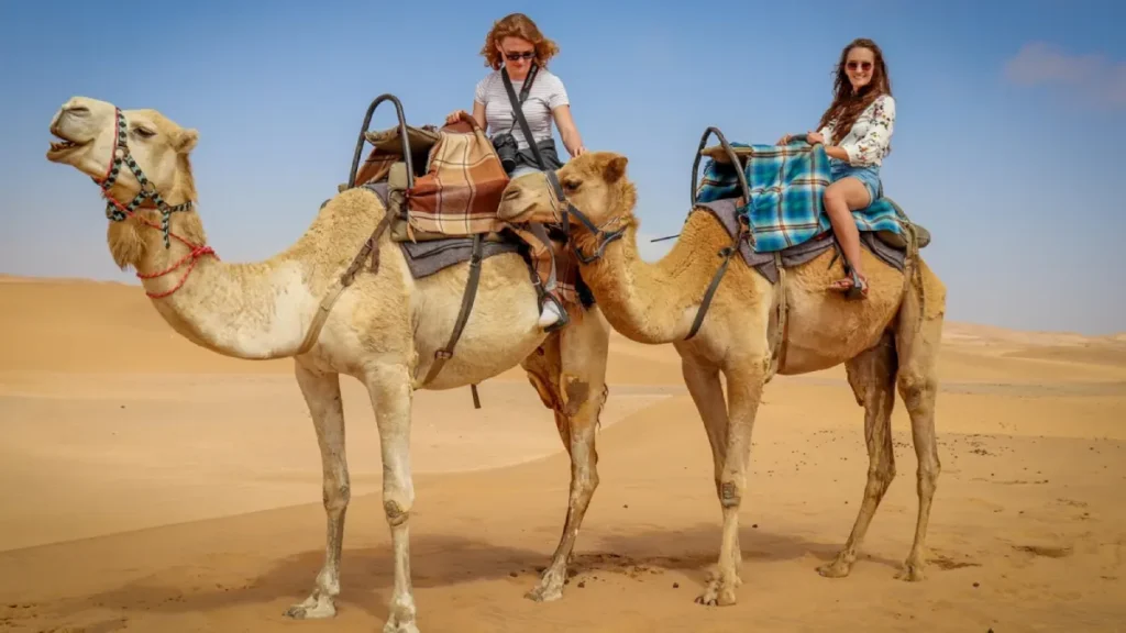 Camel ride and desert camp on a 2 day tour from Marrakech to Zagora