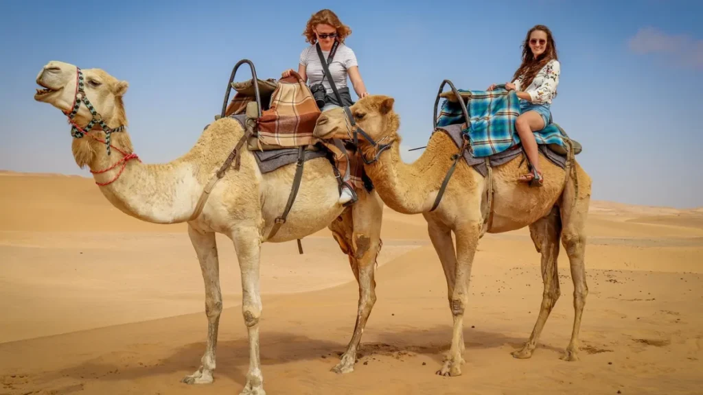 Sahara Desert Morocco in November camel ride