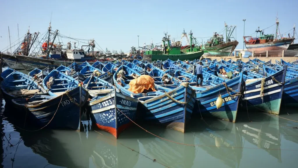 Blue fishing boats at Essaouira port during a day trip from Marrakech