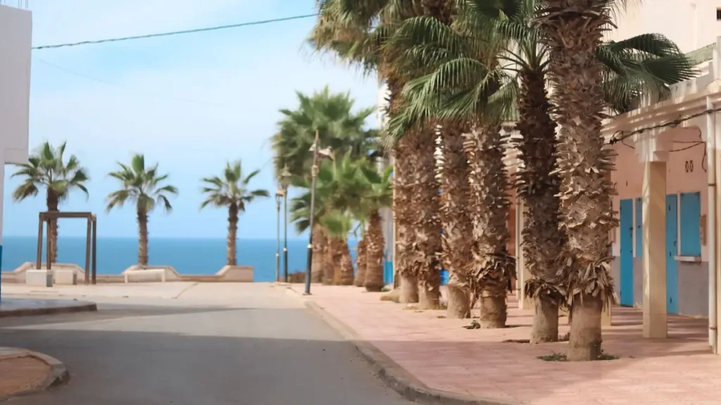 Palm lined street near the coast in Agadir Morocco