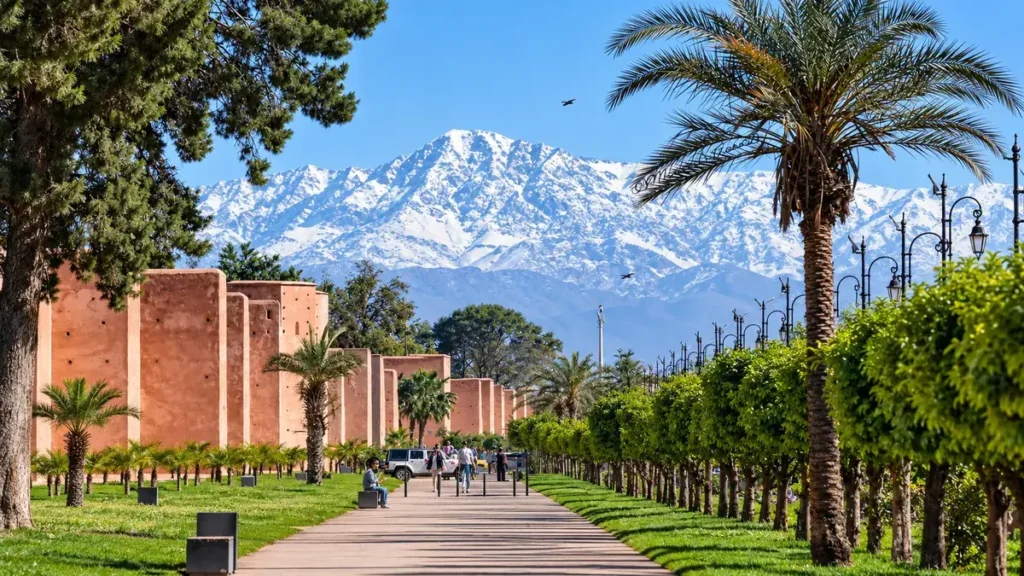 Marrakech promenade with palm trees and snowy Atlas Mountains in January