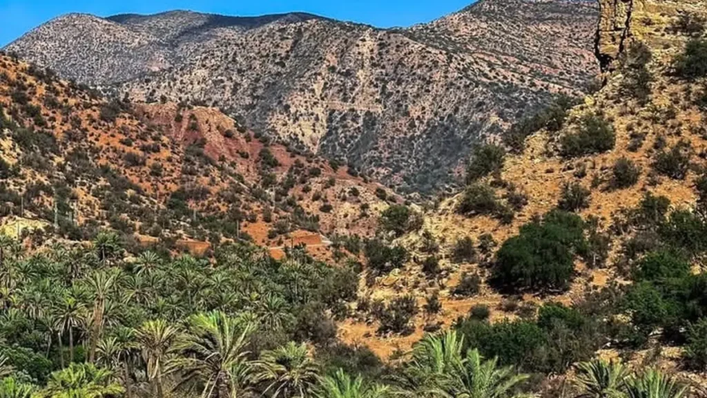 Palm trees and mountain scenery in Paradise Valley Morocco